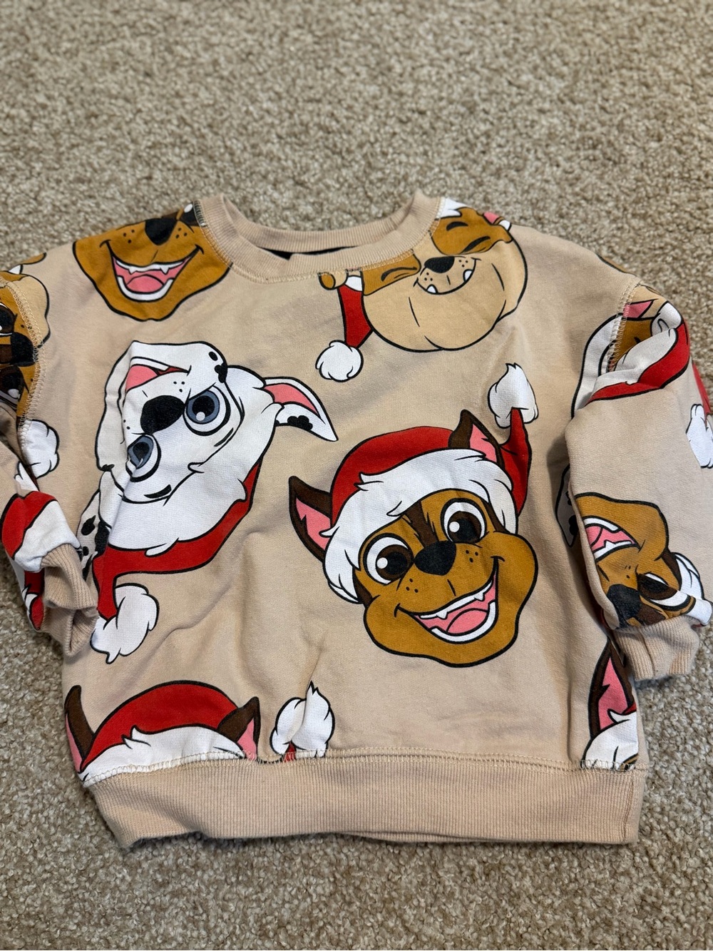 Toddler Boy Paw Patrol Christmas Sweatshirt 3T